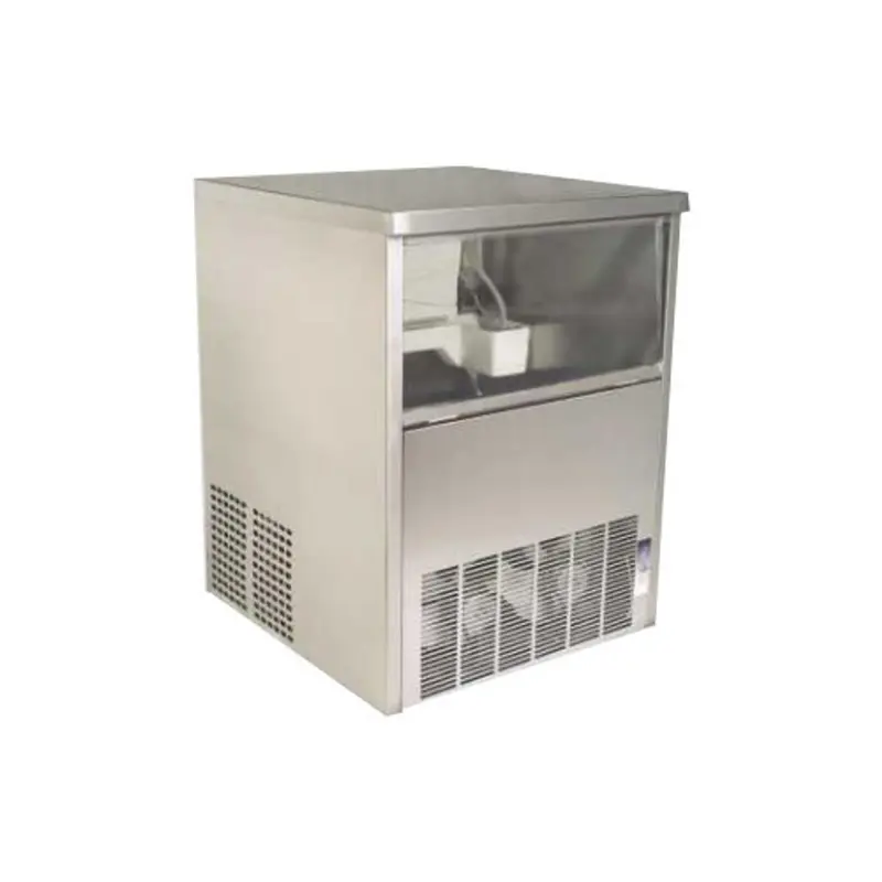 Economy Range Ice Cube Making Machine, SS Body 250 kg/24 hours